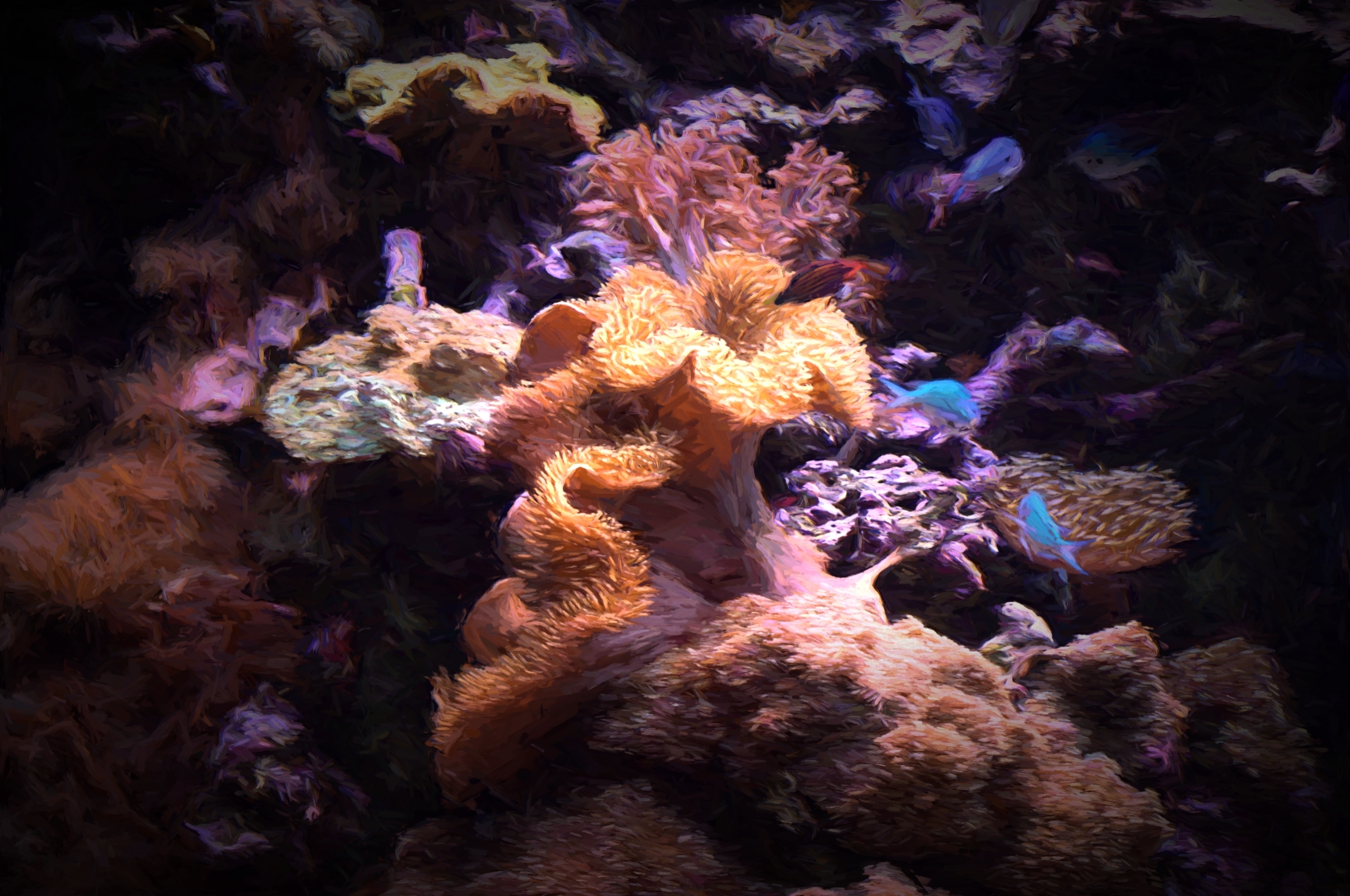 Sea Anemone on Coral 33